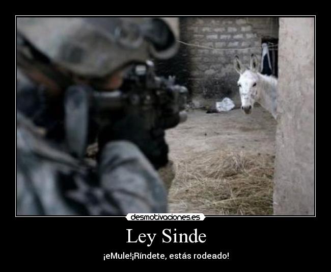Ley Sinde - ¡eMule!¡Ríndete, estás rodeado!
