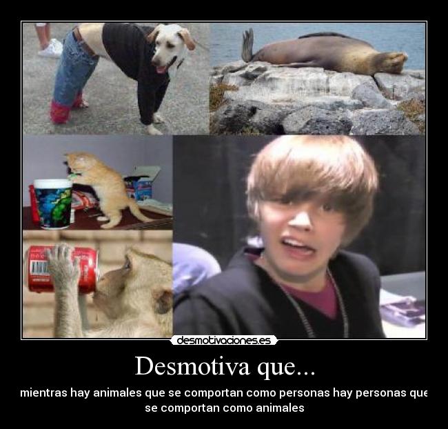 Desmotiva que... - mientras hay animales que se comportan como personas hay personas que
se comportan como animales