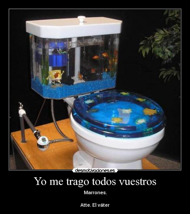 Yo me trago todos vuestros - Marrones.
Atte. El váter