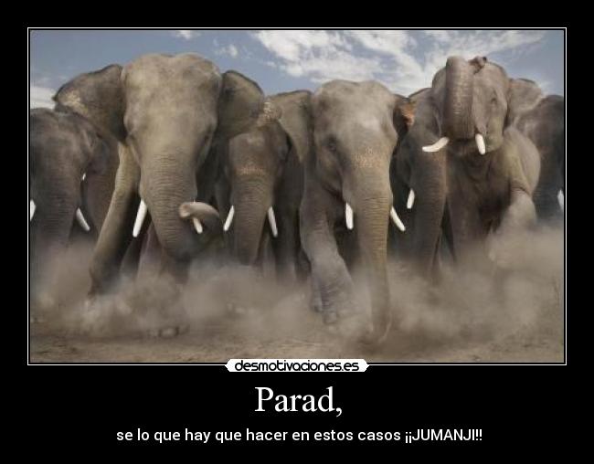 Parad, - se lo que hay que hacer en estos casos ¡¡JUMANJI!!