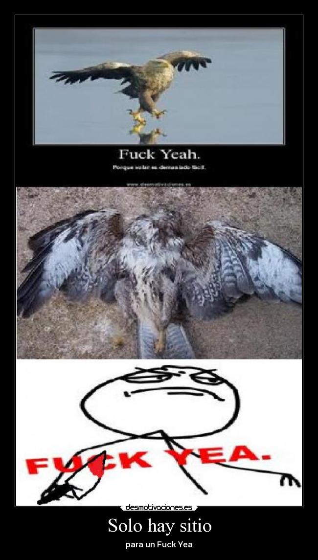 Solo hay sitio -