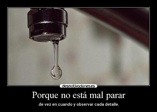 Porque no está mal parar - de vez en cuando y observar cada detalle.