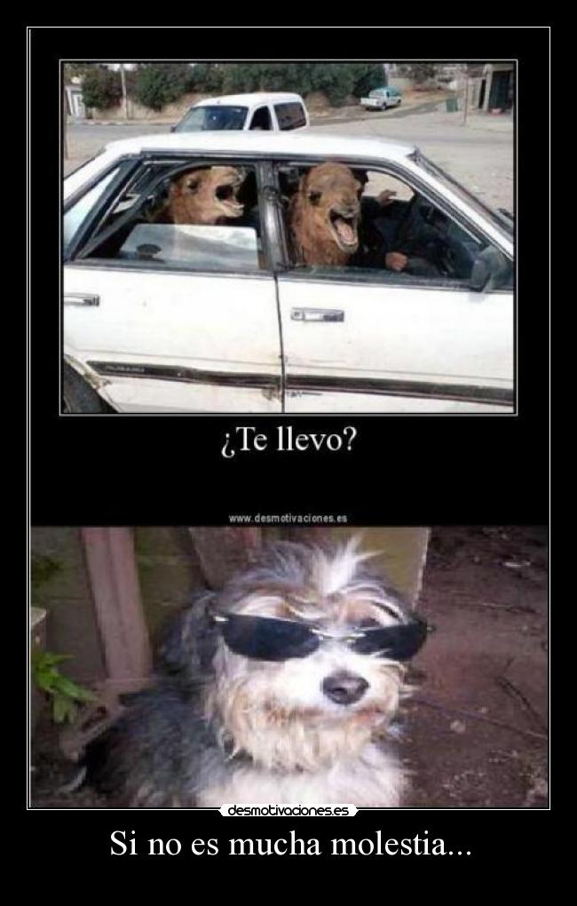 Si no es mucha molestia... -