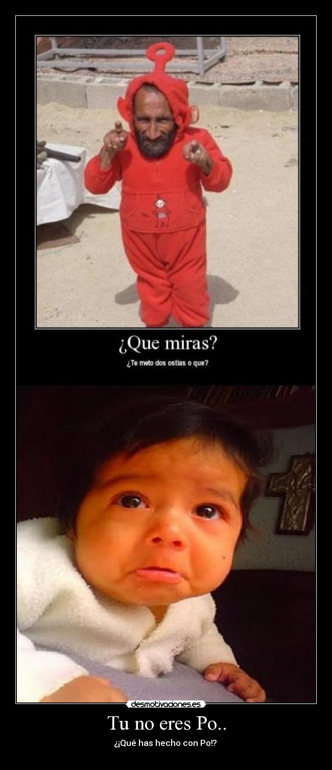 Tu no eres Po.. - ¿¡Qué has hecho con Po!?