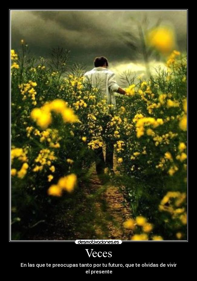 Veces - En las que te preocupas tanto por tu futuro, que te olvidas de vivir el presente