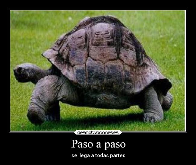 Paso a paso - se llega a todas partes