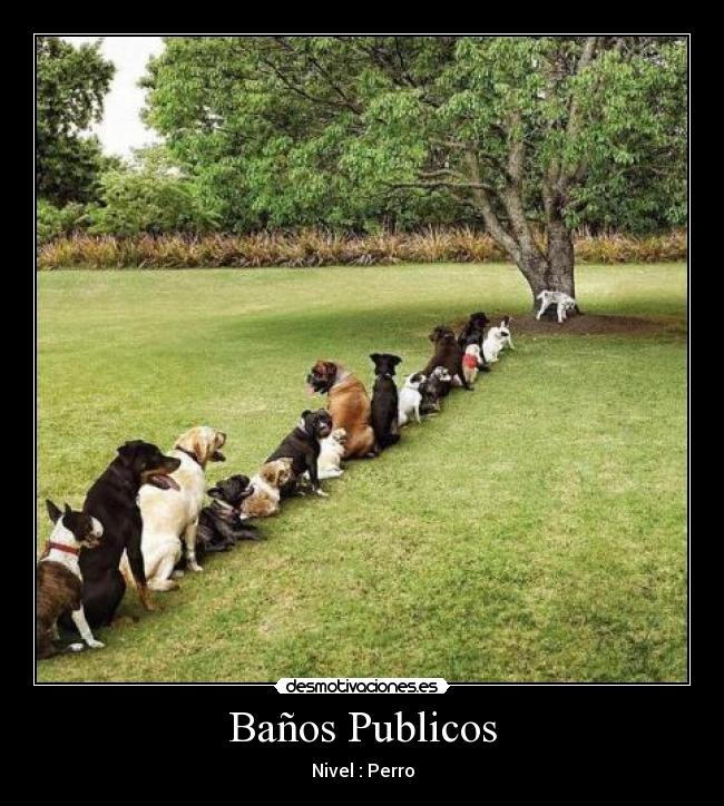 Baños Publicos - 