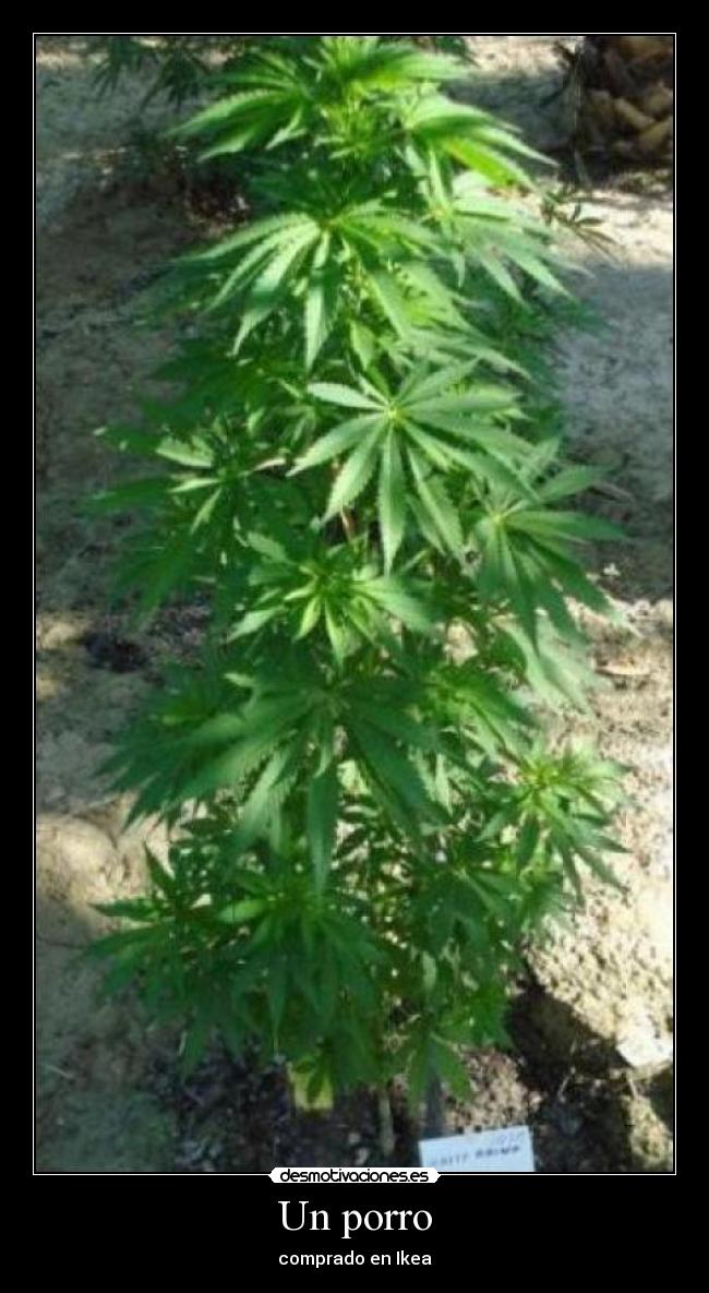 carteles xddddddddddddddddddddddddddddddd desmotivaciones