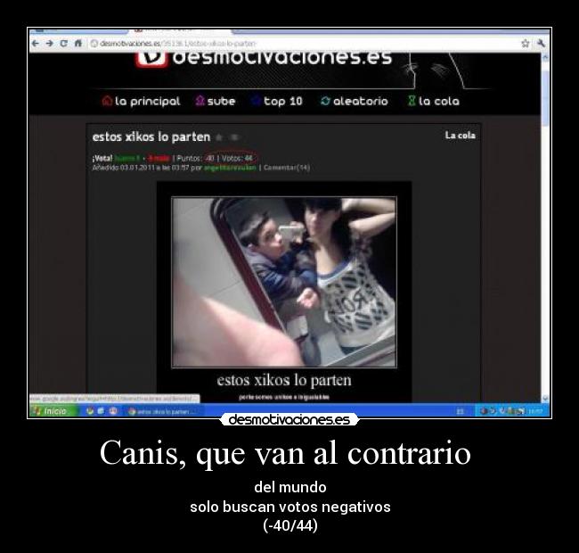 Canis, que van al contrario -