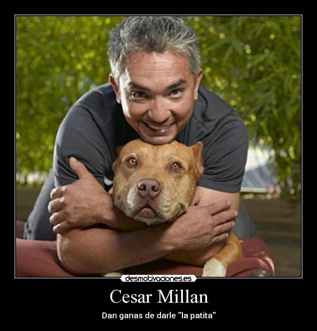 Cesar Millan - 