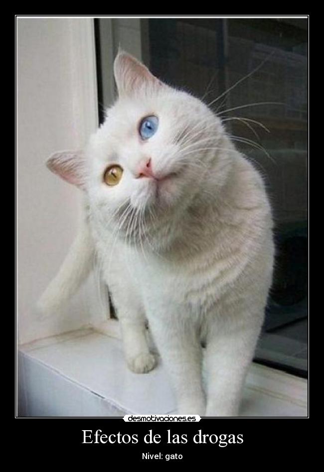 Efectos de las drogas -