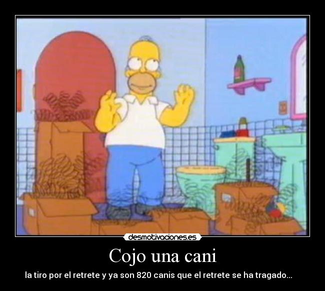 carteles dispot desmotivaciones