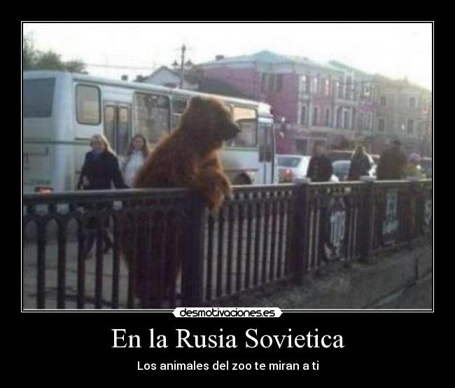 En la Rusia Sovietica - Los animales del zoo te miran a ti