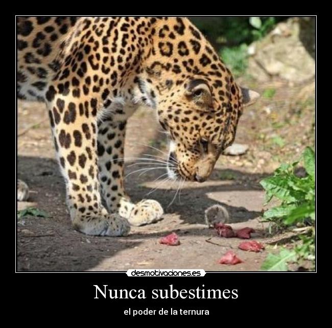 Nunca subestimes -