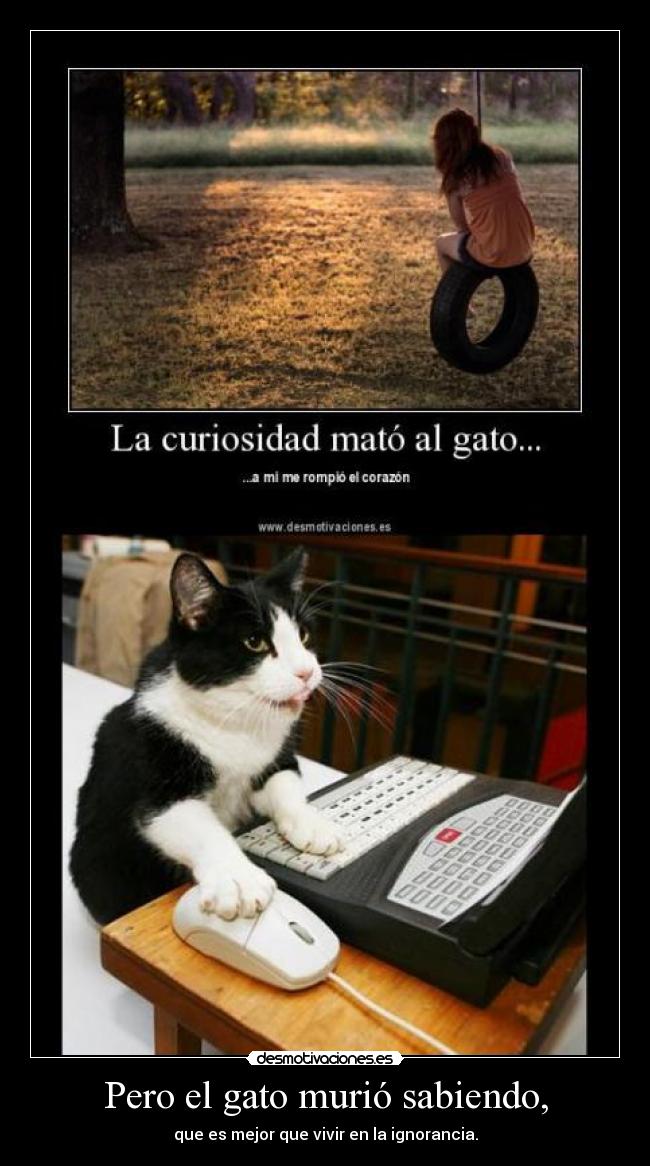 Pero el gato murió sabiendo, -