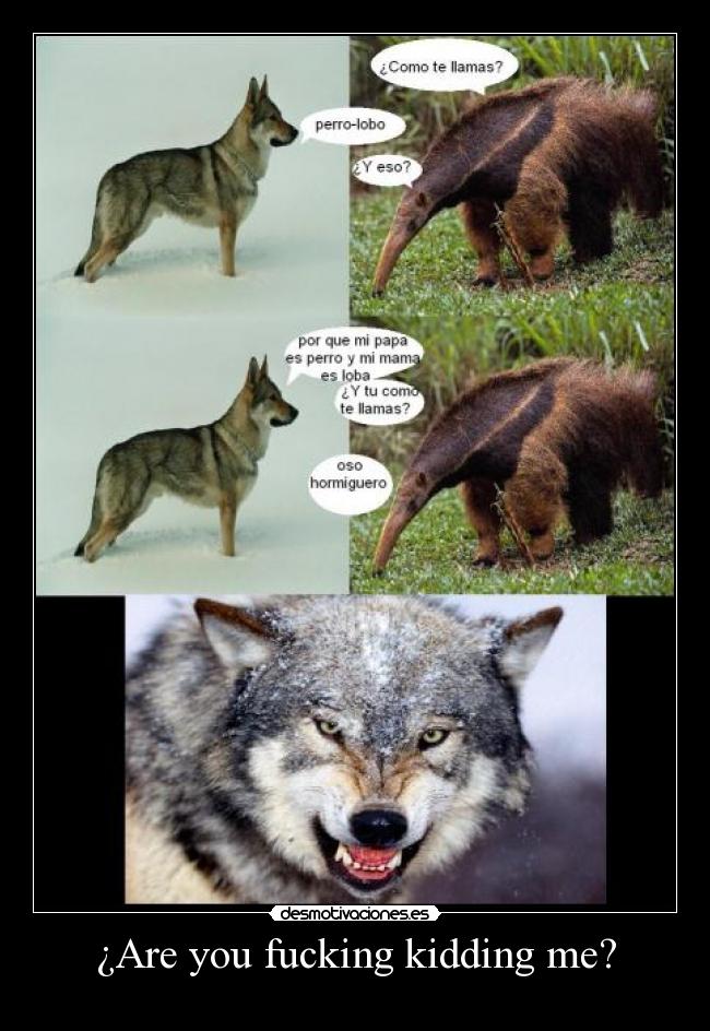 ¿Are you fucking kidding me? -