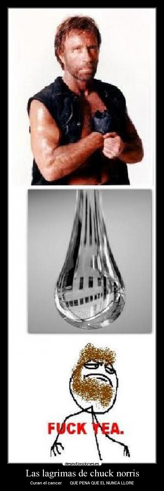 Las lagrimas de chuck norris - Curan el cancer        QUE PENA QUE EL NUNCA LLORE