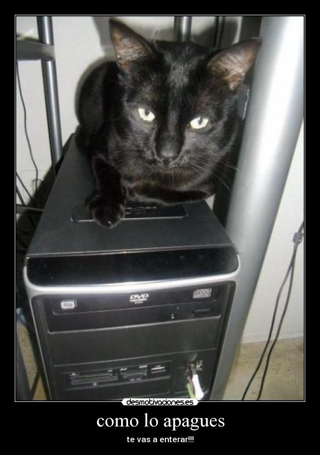como lo apagues -