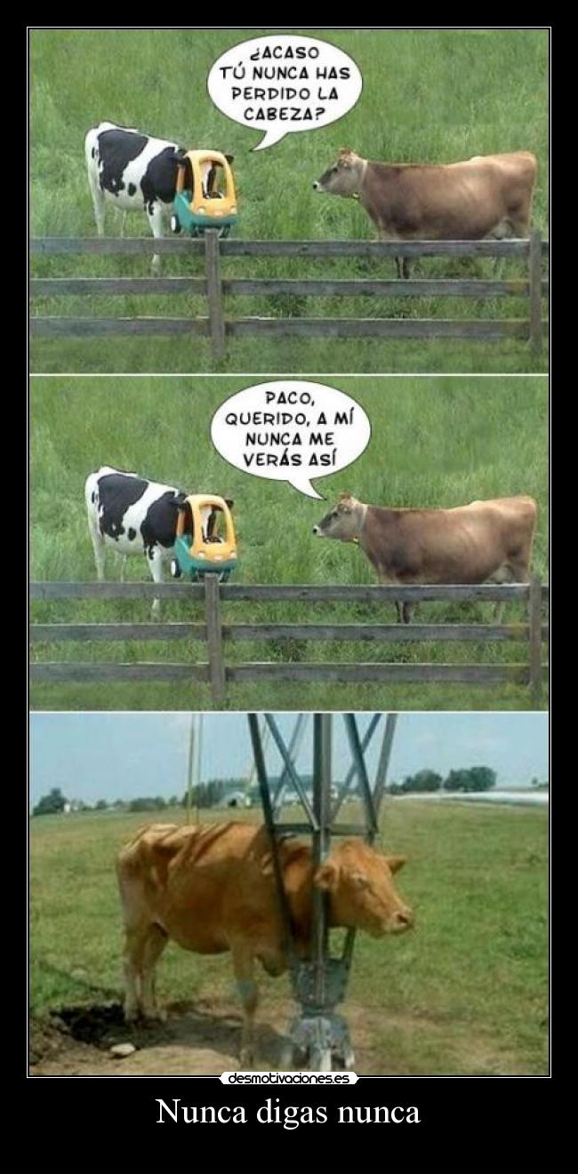Nunca digas nunca - 