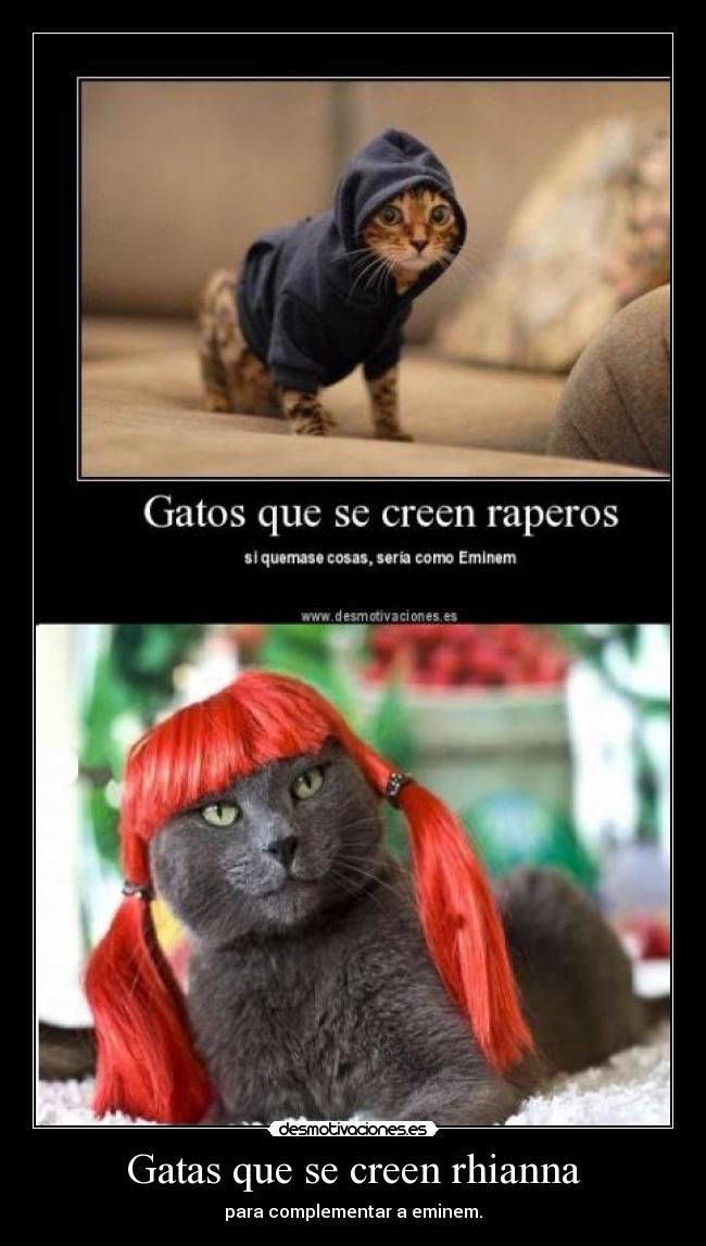 Gatas que se creen rhianna - 