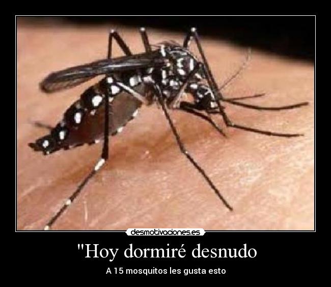 Hoy dormiré desnudo -