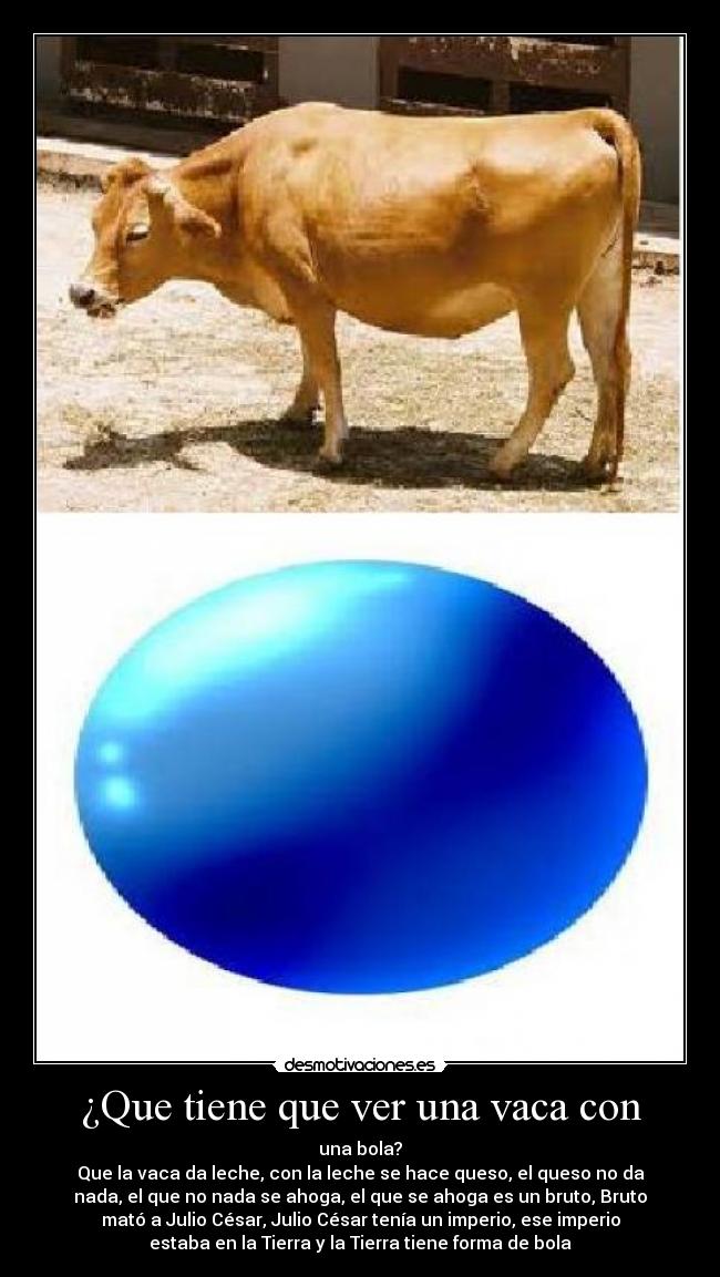 ¿Que tiene que ver una vaca con -