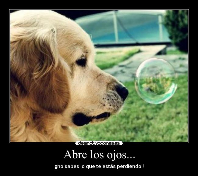 carteles life desmotivaciones