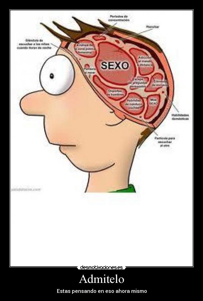 carteles sexo desmotivaciones