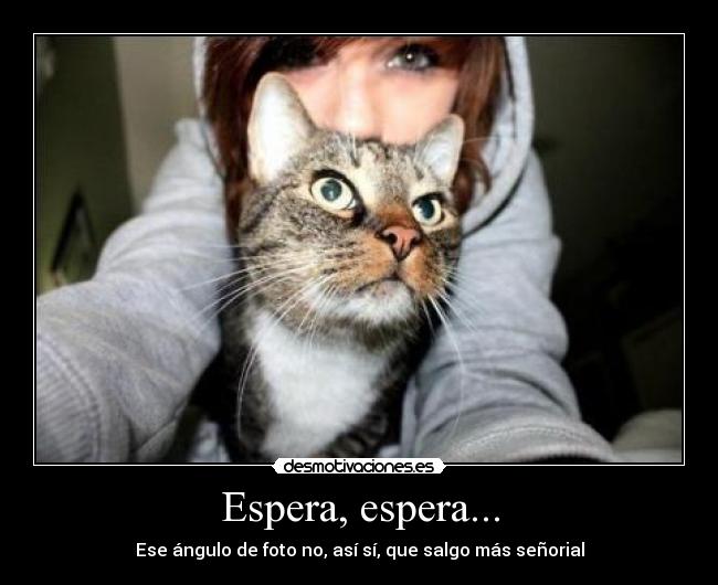Espera, espera... - Ese ángulo de foto no, así sí, que salgo más señorial