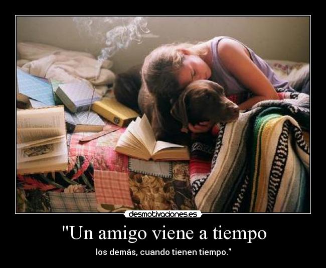 carteles amigo viene tiempo desmotivaciones