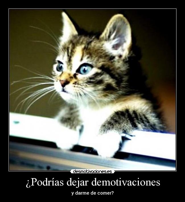 ¿Podrías dejar demotivaciones - y darme de comer?
