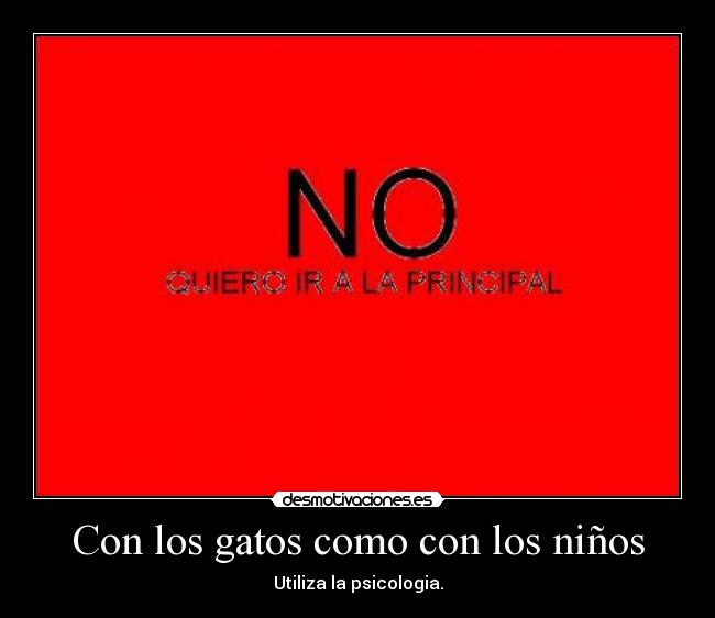 Con los gatos como con los niños -