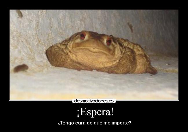 ¡Espera! - 