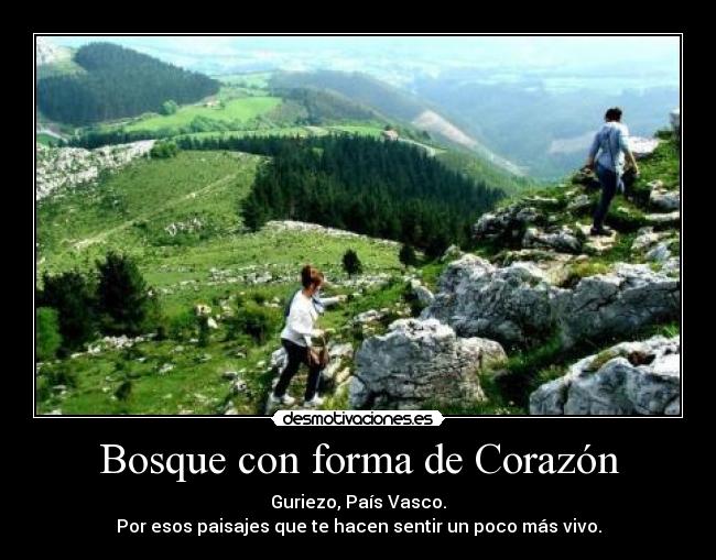 Bosque con forma de Corazón -