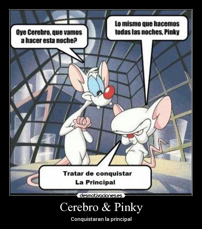 Cerebro & Pinky - Conquistaran la principal