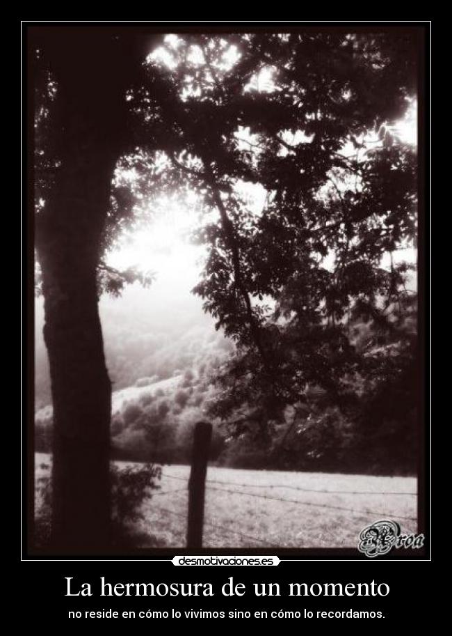 carteles hermosura momento desmotivaciones