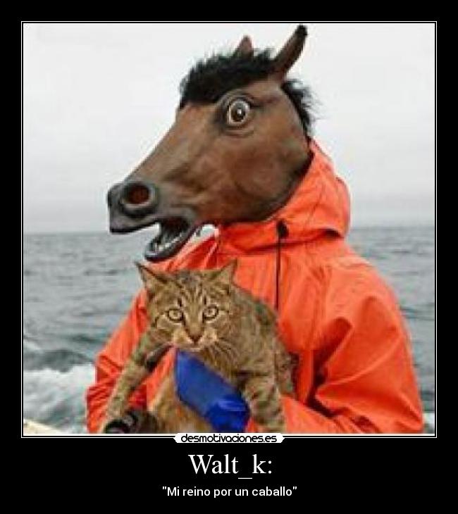 carteles lol desmotivaciones