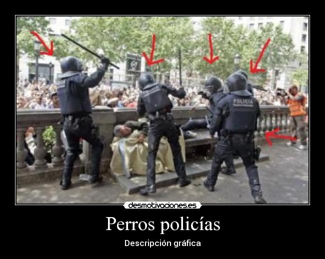 Perros policías - Descripción gráfica