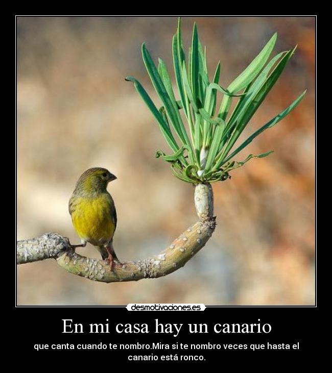 En mi casa hay un canario - que canta cuando te nombro.Mira si te nombro veces que hasta el canario está ronco.