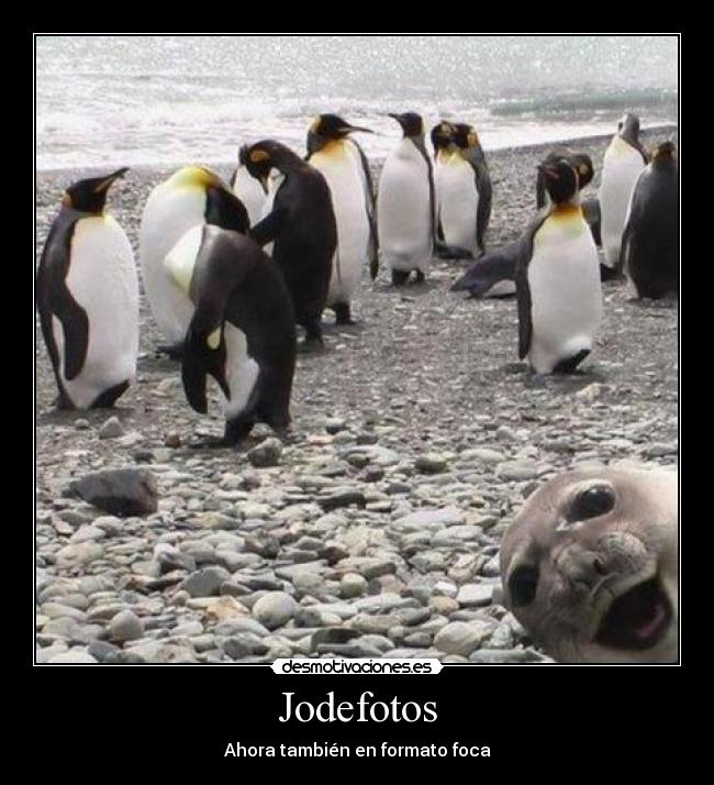 Jodefotos - 