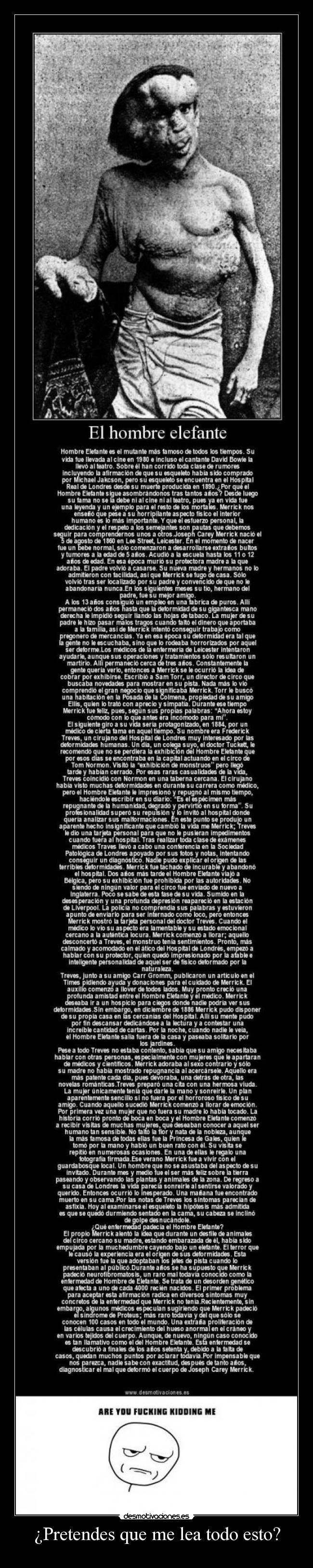 ¿Pretendes que me lea todo esto? - 