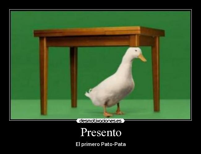 Presento - El primero Pato-Pata