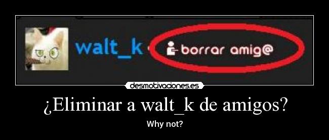 ¿Eliminar a walt_k de amigos? -