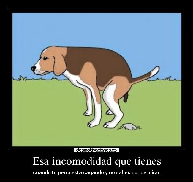 Esa incomodidad que tienes -