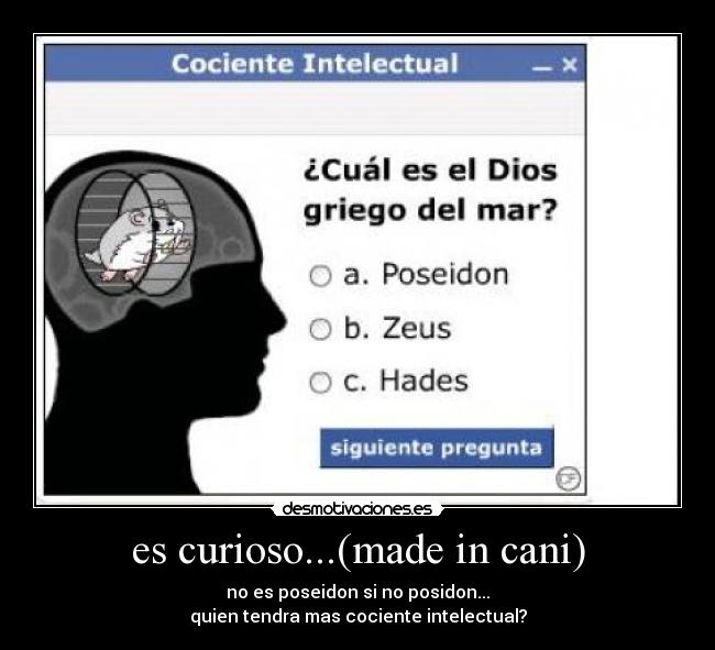 es curioso...(made in cani) - 