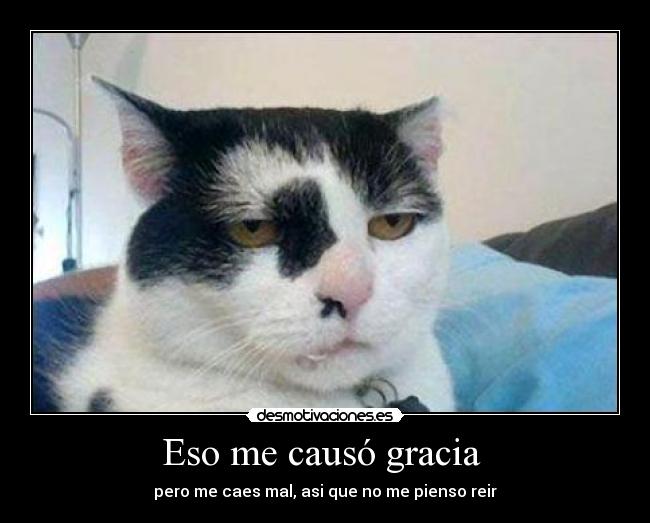 Eso me causó gracia  - 