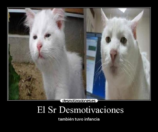 El Sr Desmotivaciones - también tuvo infancia