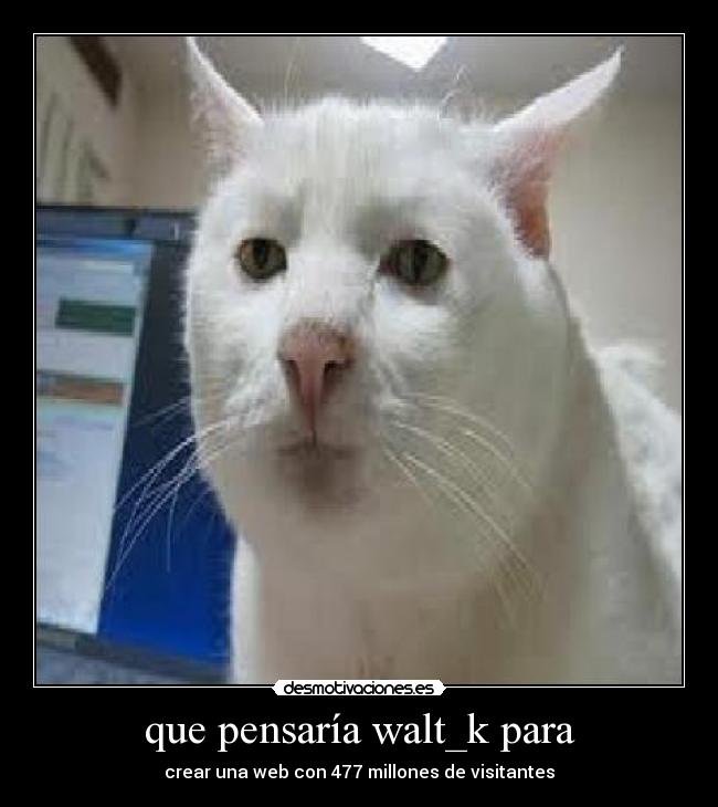 que pensaría walt_k para - crear una web con 477 millones de visitantes