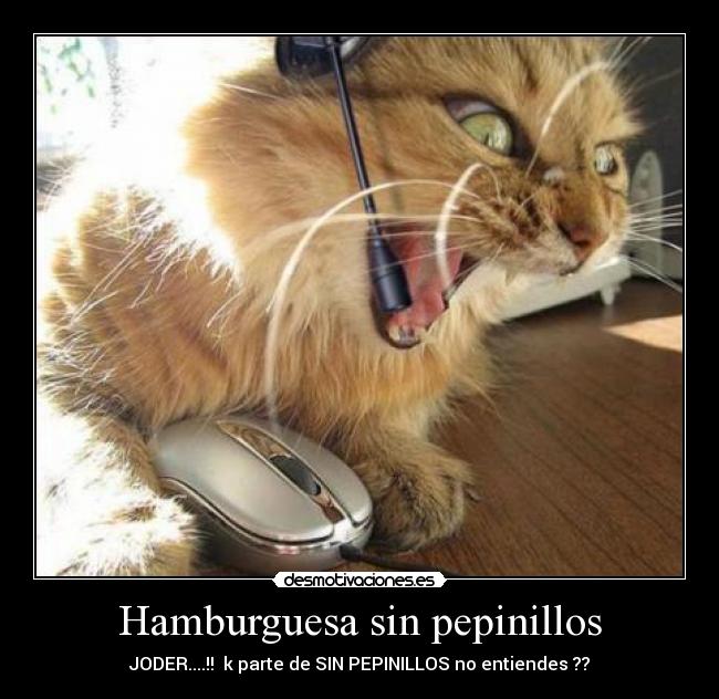 Hamburguesa sin pepinillos -