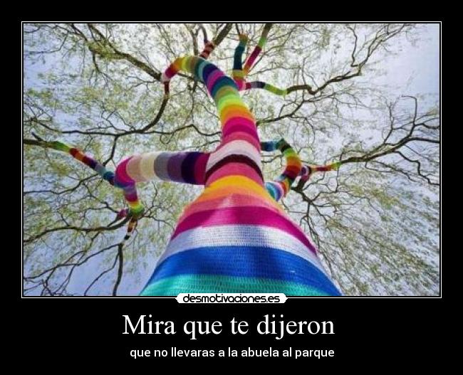 Mira que te dijeron  - 